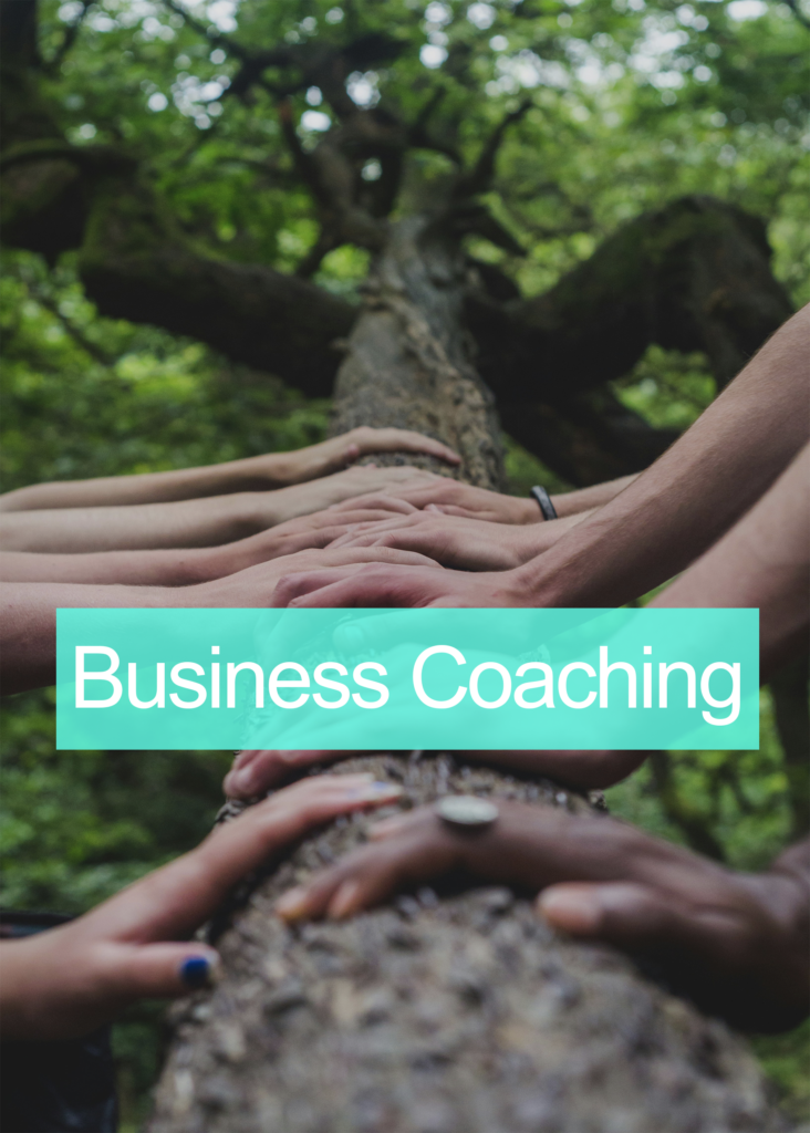 Businesscoach