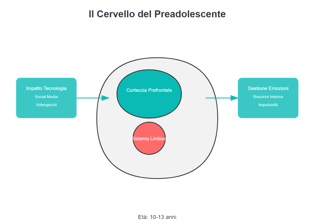 Il cervello Del Preadolescente